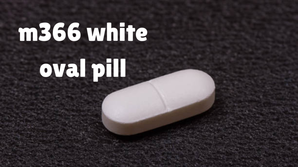 m366 white oval pill