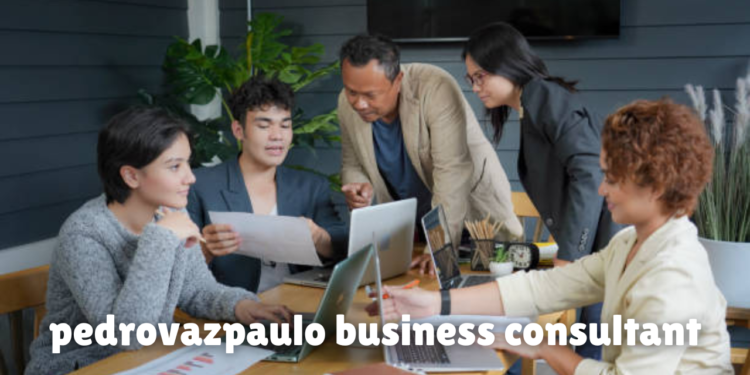 pedrovazpaulo business consultant