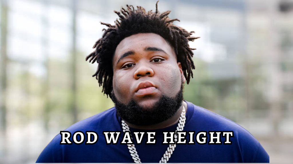 rod wave height