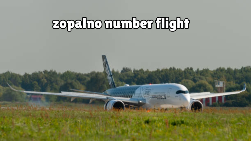 zopalno number flight