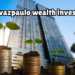 pedrovazpaulo wealth investment