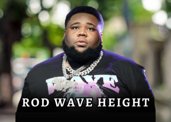 rod wave height