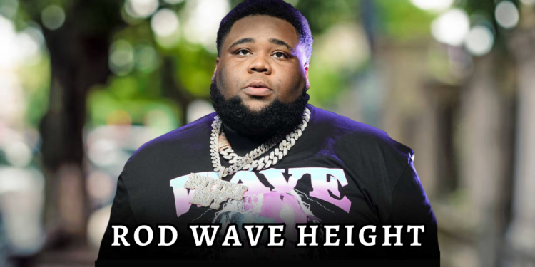 rod wave height