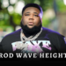 rod wave height