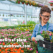 the benefits of plant nurseries webfreen.com