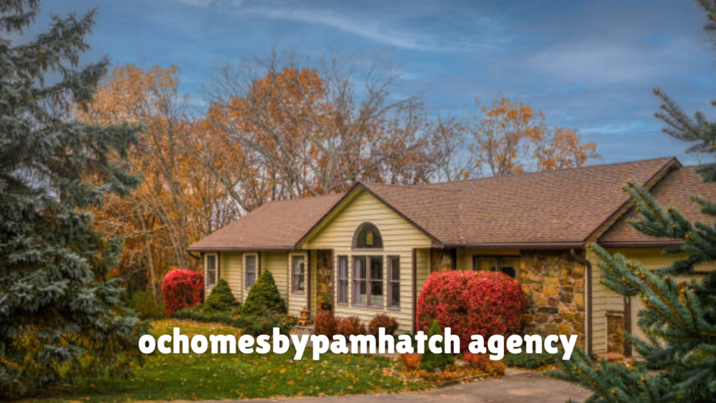 ochomesbypamhatch agency