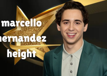 marcello hernandez height