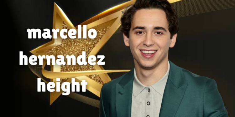 marcello hernandez height