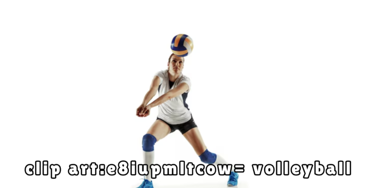 clip art:e8iupmltcow= volleyball